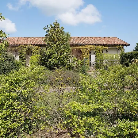 La Corte Di Langa Turchese Albaretto della Torre
